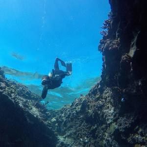 Meet your Posher, Katy